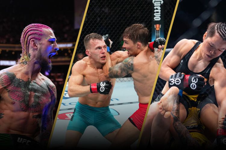 The Rise of MMA: Exploring Its Influence and Popularity Among Australians
